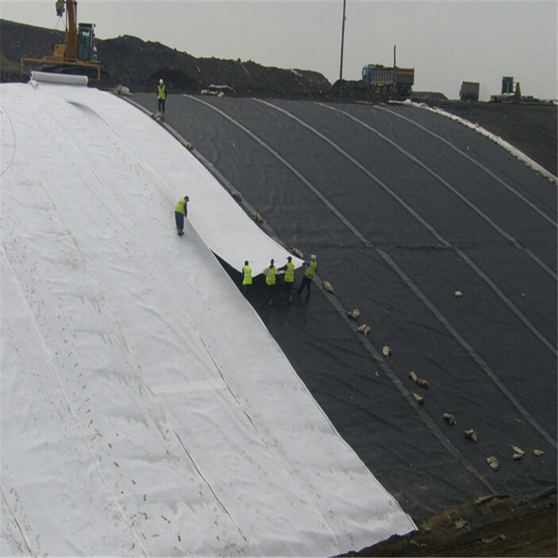 PP Woven Geotextile for Embankment Slope Strengthen Layer