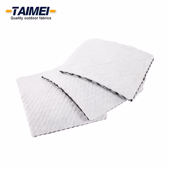 Армированный пластиковый геокомпозитный дренажный мат Геокомпозитная геомембрана Геокомпозит для борьбы с эрозией Защита склонов